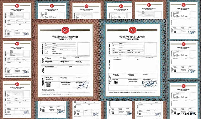 El Birliği Mülkiyetinde Miras Payı Satışı: Kritik Sınırlar - Kapak Görseli